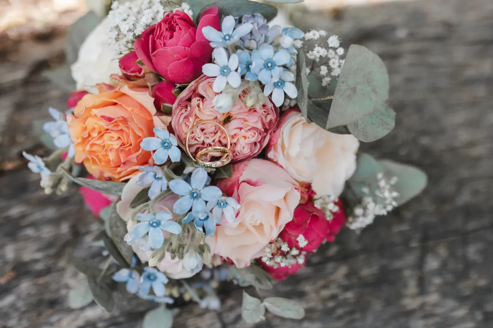 Steve Photography – JPEG Bild 143 ergebnis